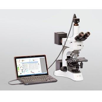 BT-1600图像颗粒分析系统